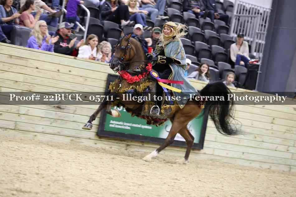 Proof 22BUCK_05711