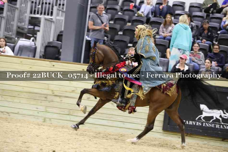 Proof 22BUCK_05714