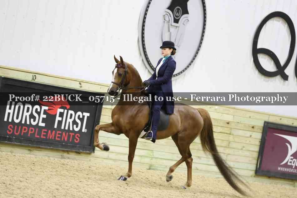 Proof 22BUCK_05715