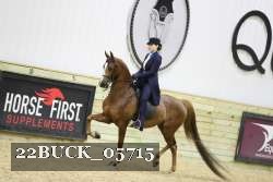 22BUCK_05715 proof