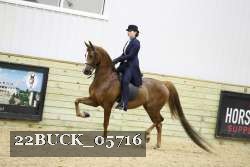 22BUCK_05716 proof