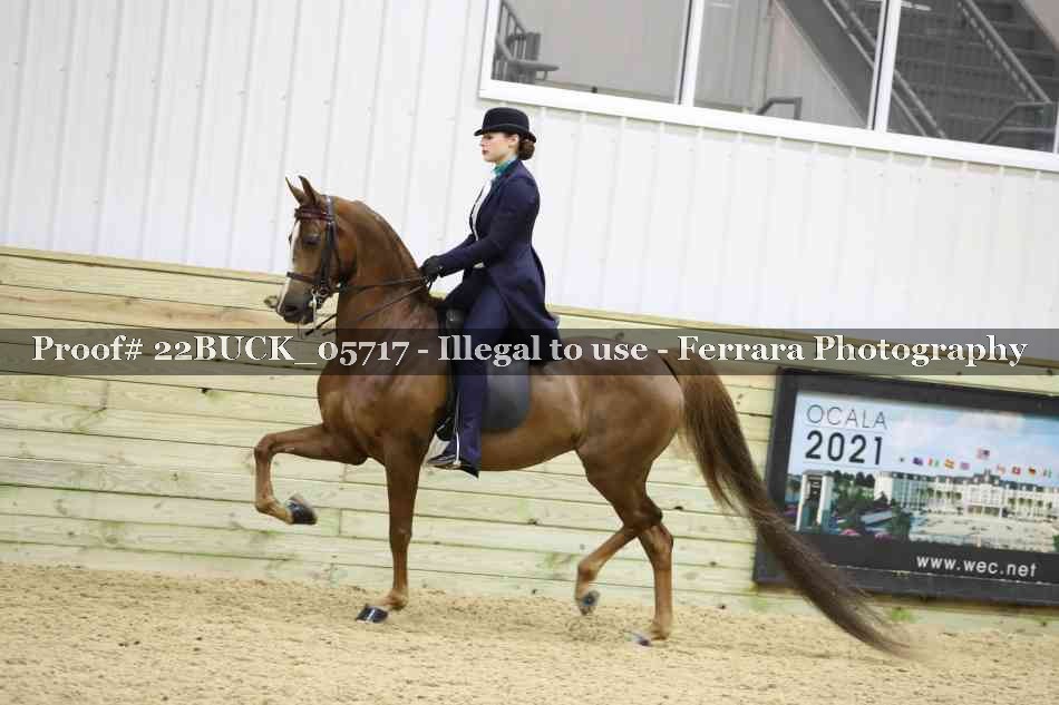 Proof 22BUCK_05717
