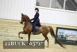 22BUCK_05717 proof