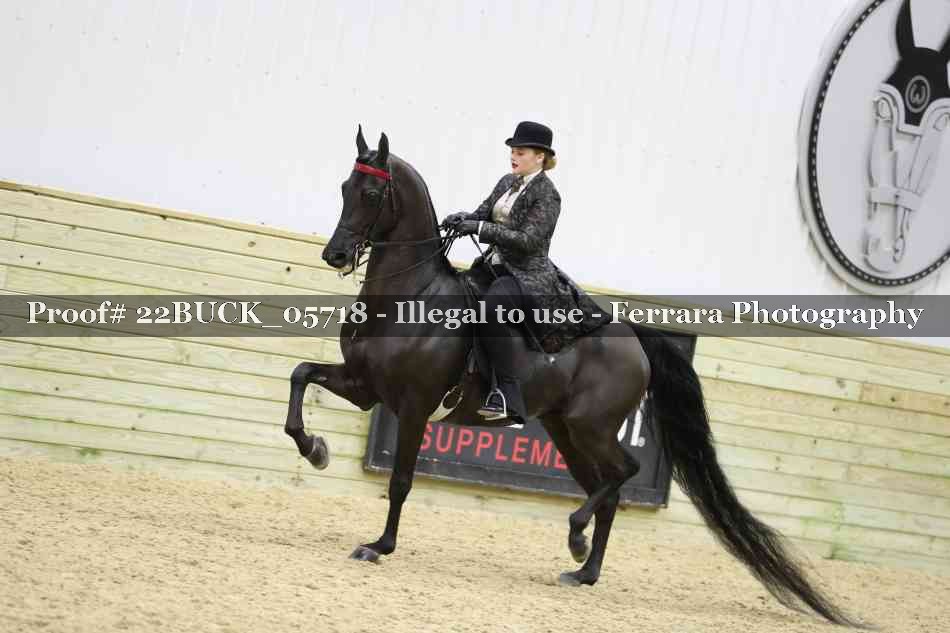 Proof 22BUCK_05718