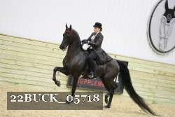 22BUCK_05718 proof