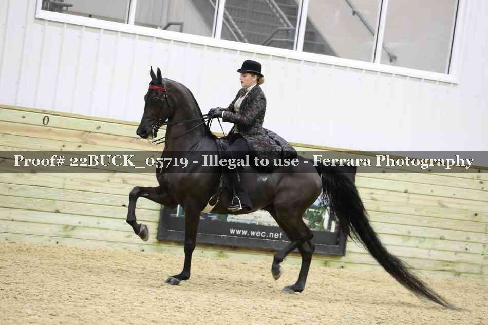 Proof 22BUCK_05719