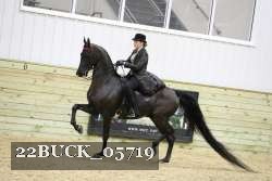 22BUCK_05719 proof