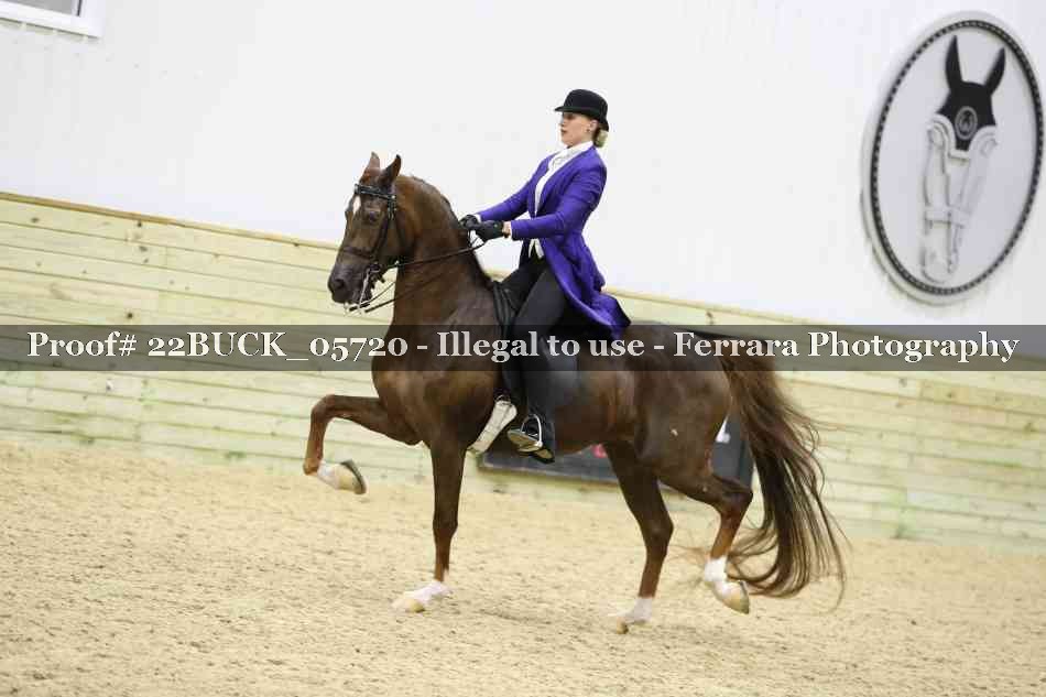 Proof 22BUCK_05720