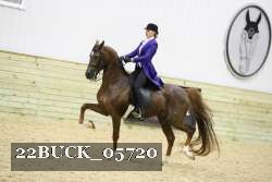 22BUCK_05720 proof