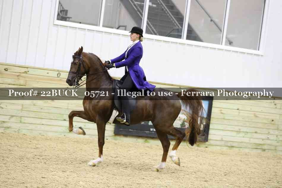 Proof 22BUCK_05721