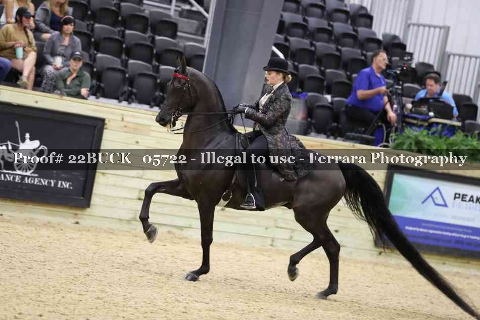 Proof 22BUCK_05722