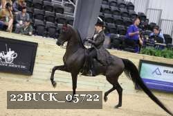 22BUCK_05722 proof