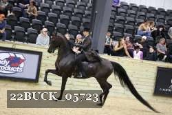 22BUCK_05723 proof