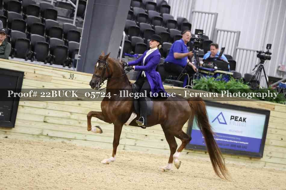 Proof 22BUCK_05724