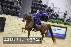 22BUCK_05724 proof