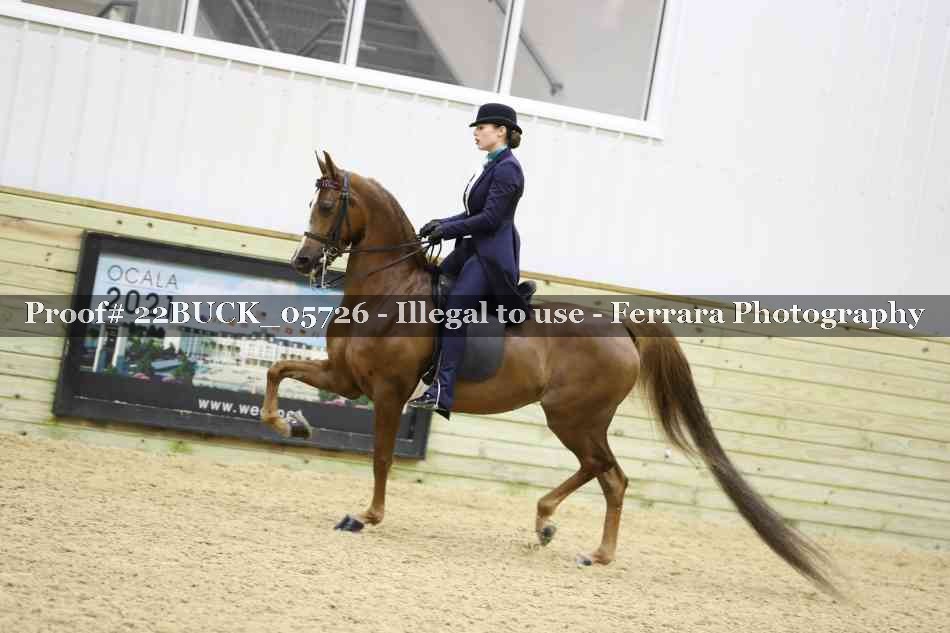 Proof 22BUCK_05726