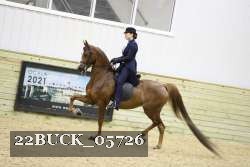 22BUCK_05726 proof