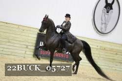 22BUCK_05727 proof