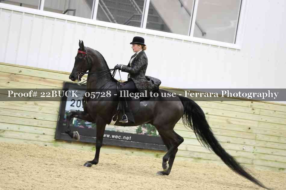 Proof 22BUCK_05728