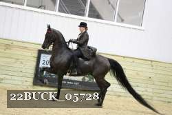 22BUCK_05728 proof