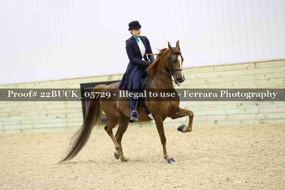 Proof 22BUCK_05729