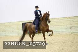 22BUCK_05729 proof