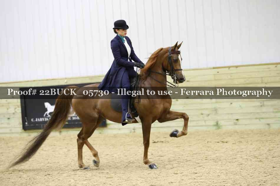 Proof 22BUCK_05730