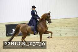 22BUCK_05730 proof