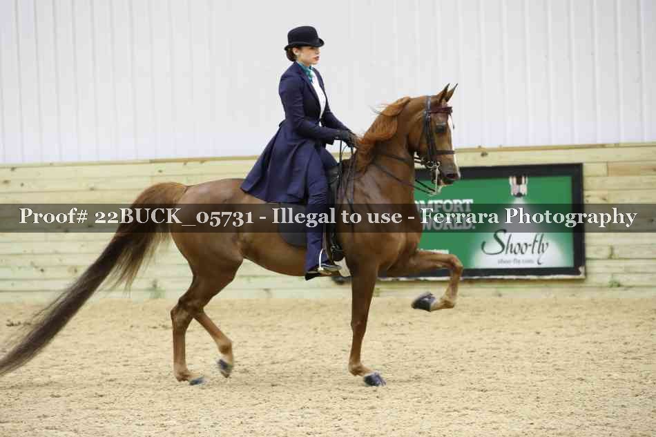 Proof 22BUCK_05731