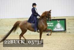 22BUCK_05731 proof
