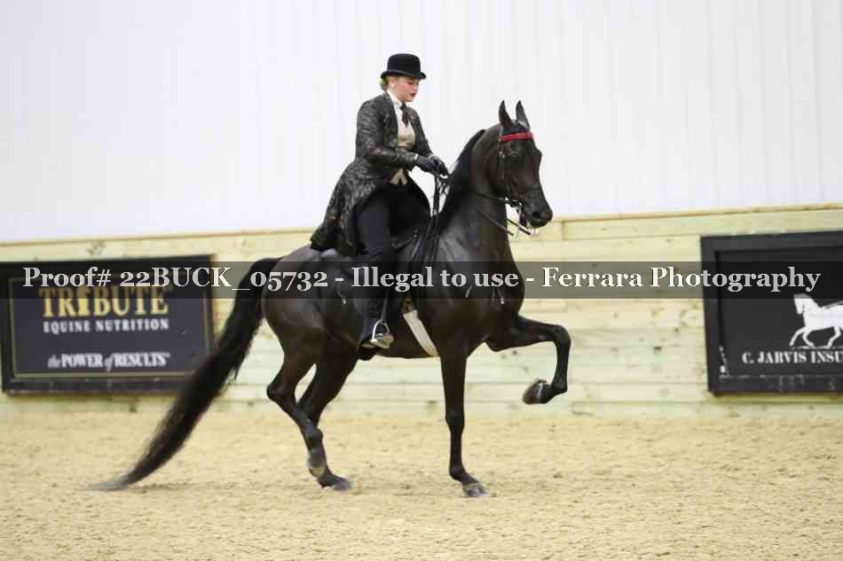 Proof 22BUCK_05732