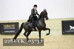 22BUCK_05732 proof