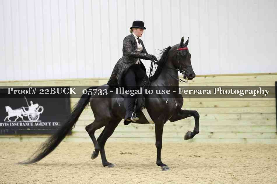 Proof 22BUCK_05733