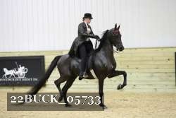 22BUCK_05733 proof