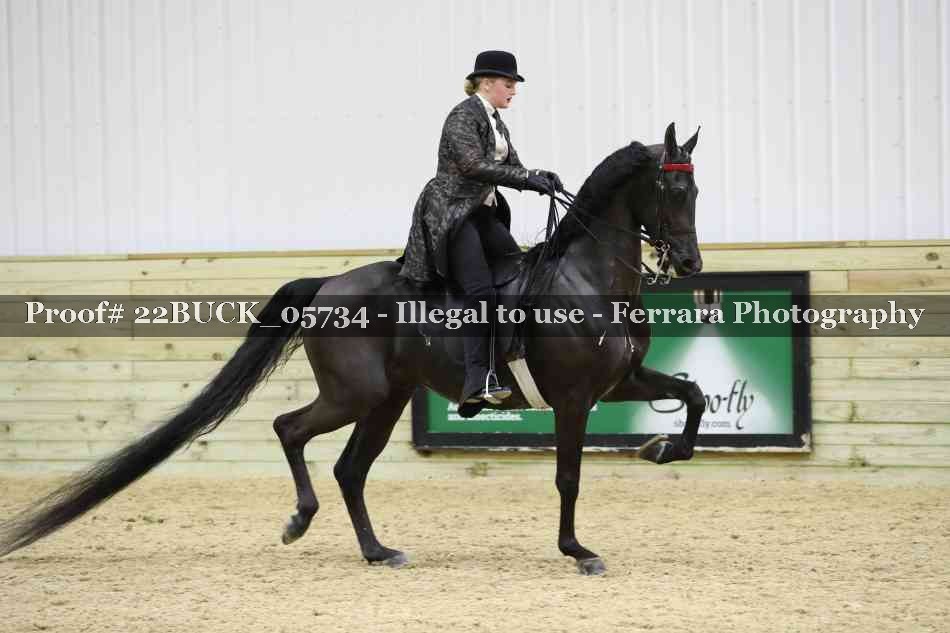 Proof 22BUCK_05734