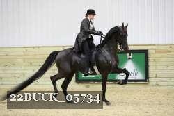 22BUCK_05734 proof
