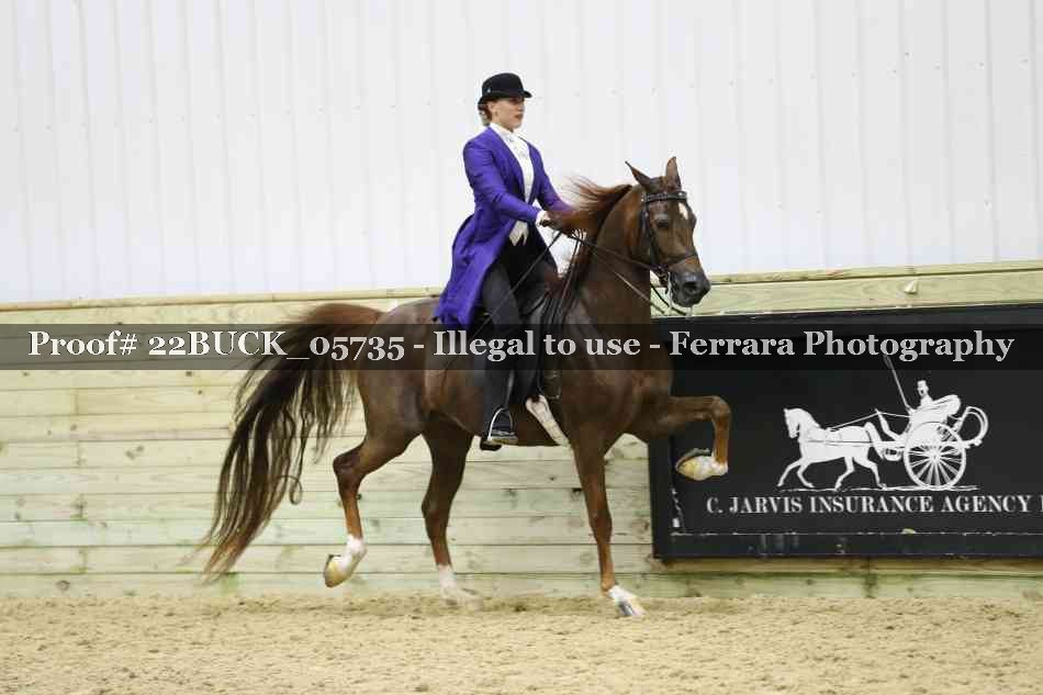 Proof 22BUCK_05735