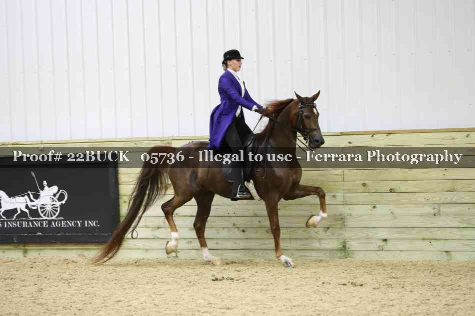 Proof 22BUCK_05736