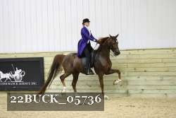 22BUCK_05736 proof