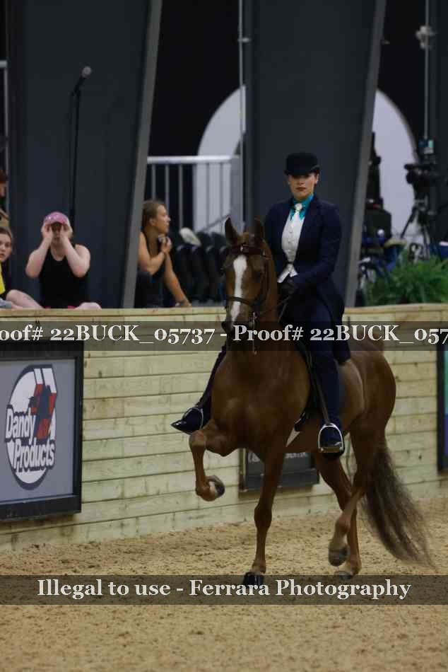 Proof 22BUCK_05737