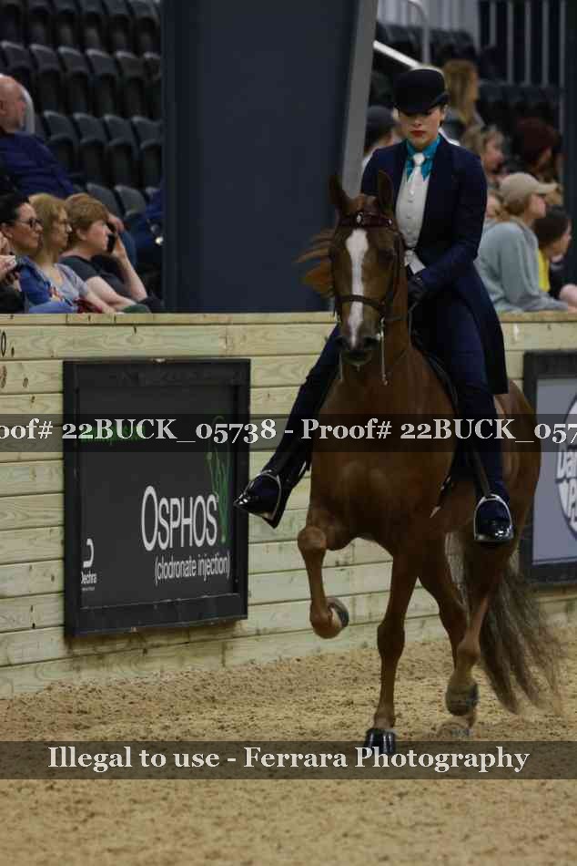 Proof 22BUCK_05738