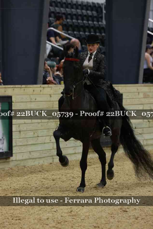 Proof 22BUCK_05739