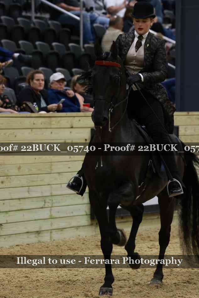 Proof 22BUCK_05740