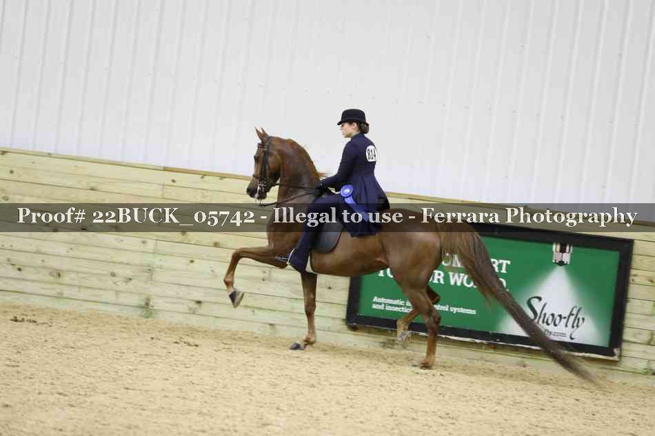 Proof 22BUCK_05742