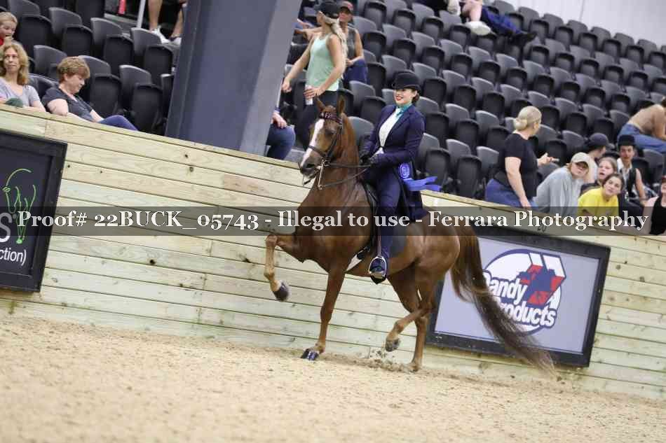 Proof 22BUCK_05743