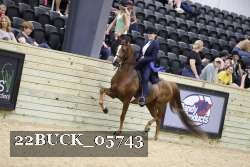 22BUCK_05743 proof