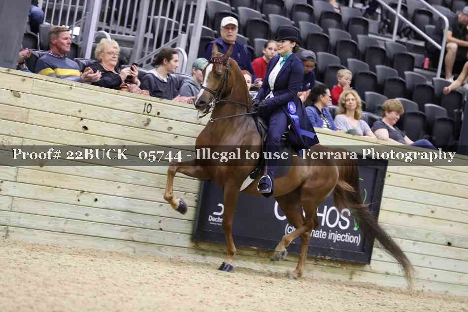 Proof 22BUCK_05744