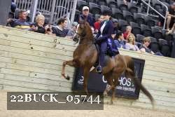 22BUCK_05744 proof