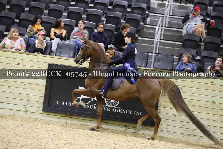 Proof 22BUCK_05745