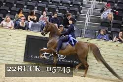22BUCK_05745 proof